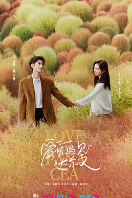 关于麦当劳的
